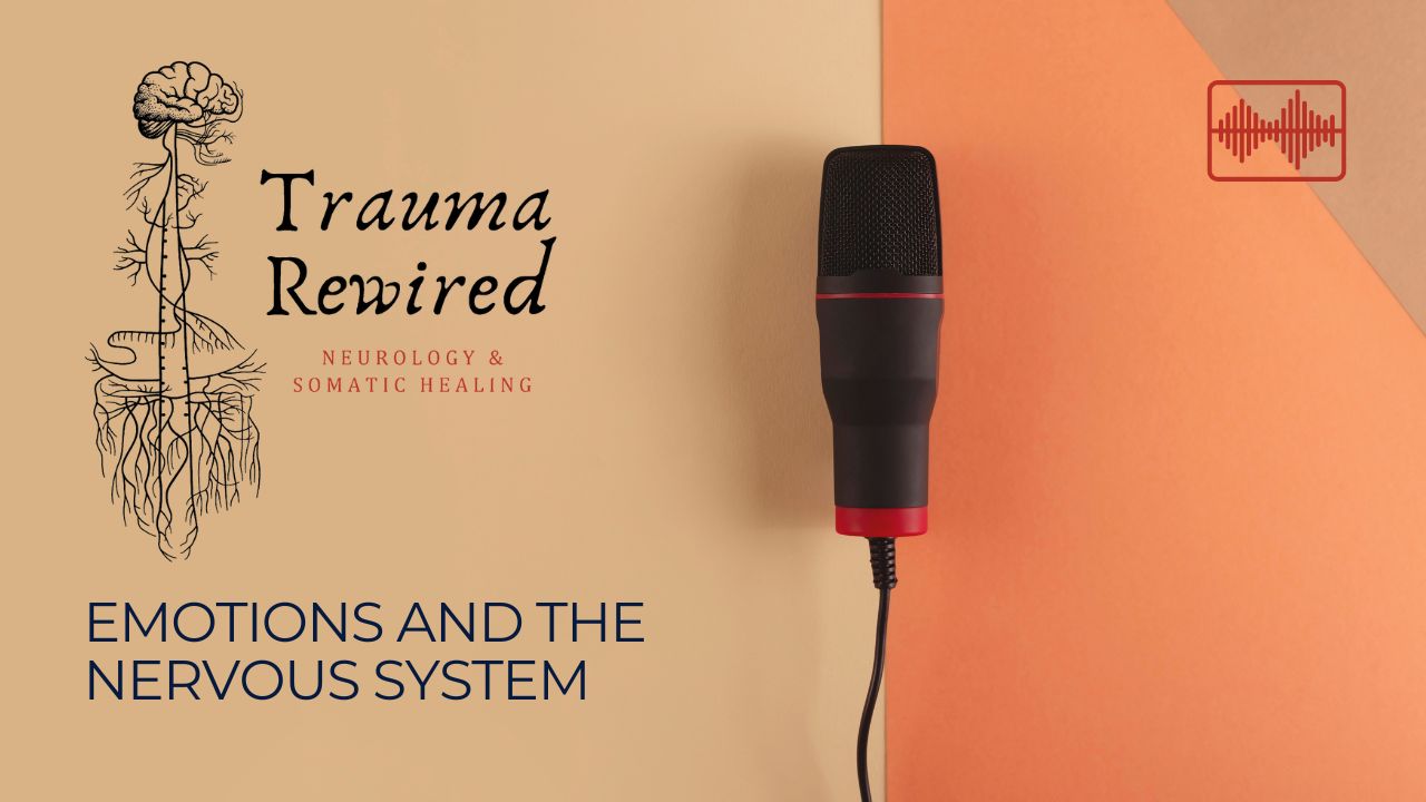 Featured image for “Emotions and Your Nervous System”